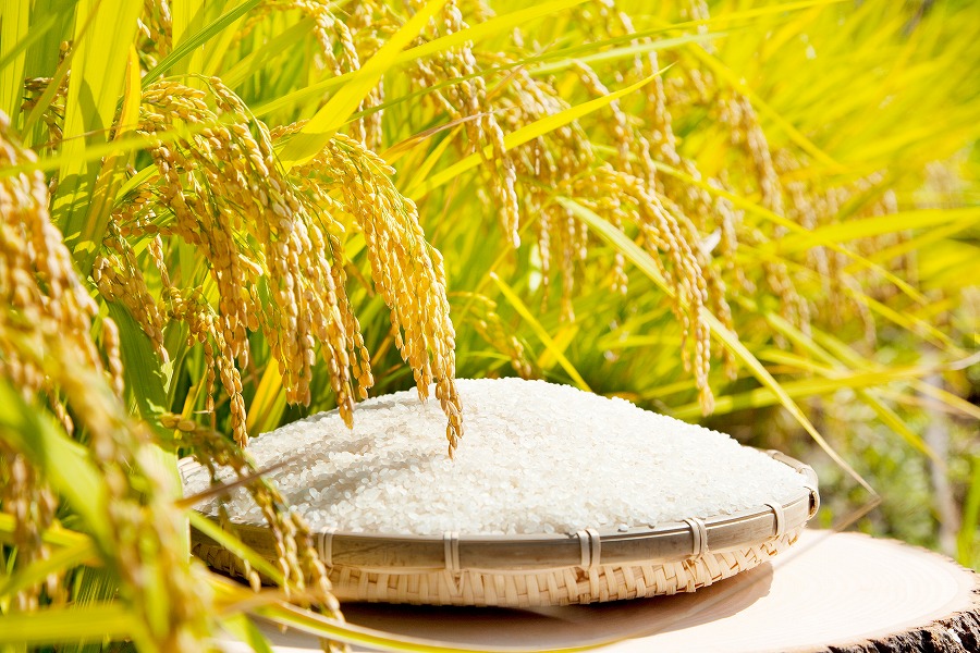 AdobeStock_33849092